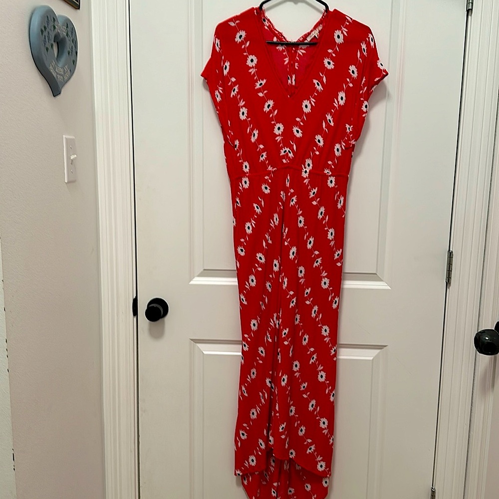 Skies are blue red floral maxi dress